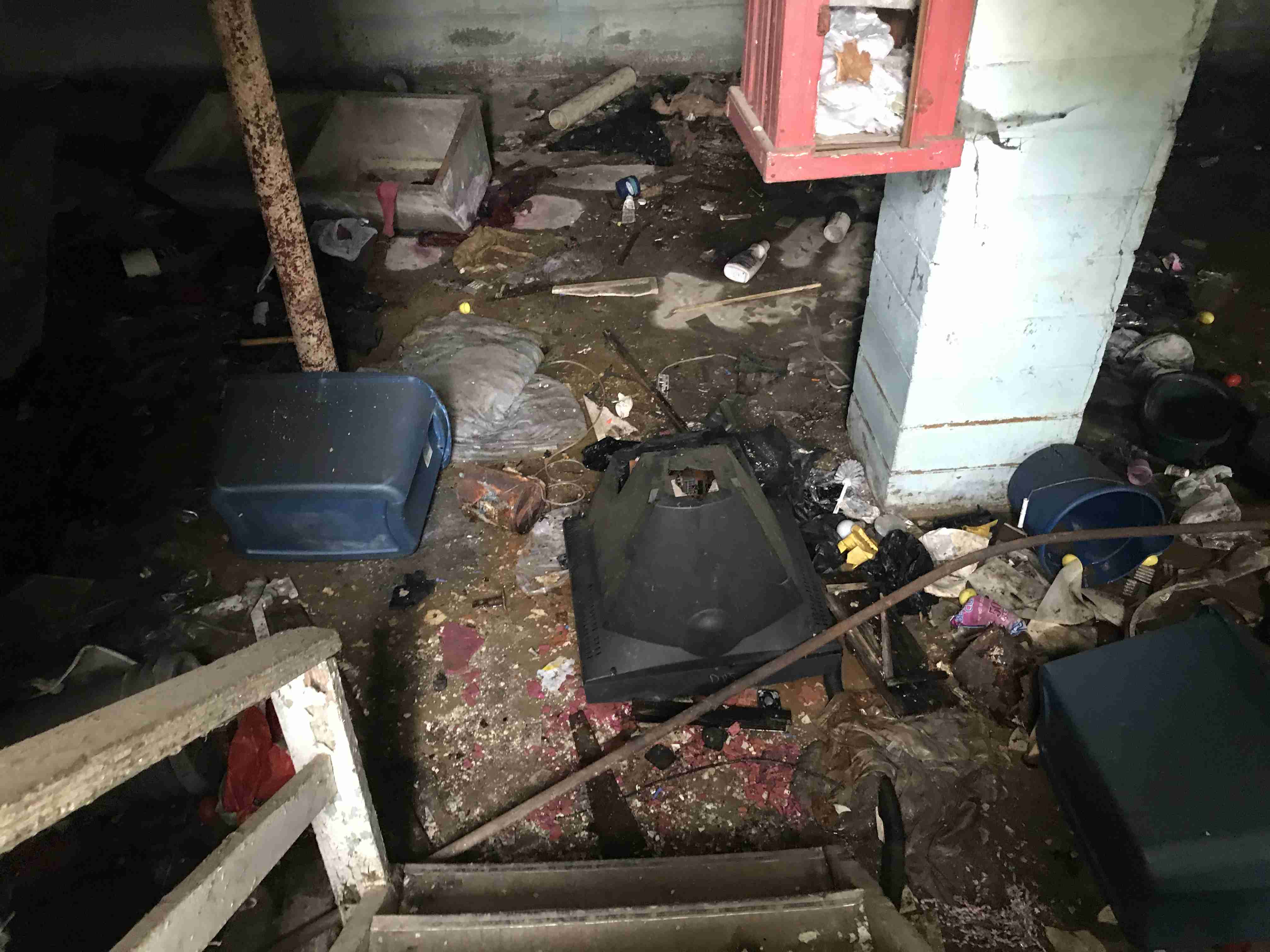 Photo Sep 09, 4 24 48 PM.jpg